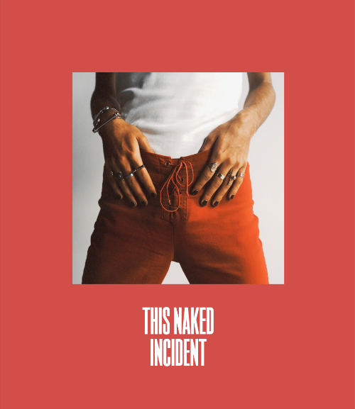 This Naked Incident - Alexander van der Heide & Sander Coers